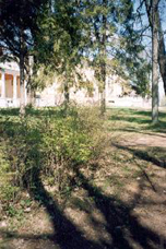 Музей-усадьба Остафьево