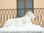 Лев, охраняющий вход в главный усадебный дом.