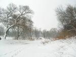 Пахра еще укрыта снегом.