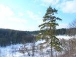 Извилистое русло Пахры.